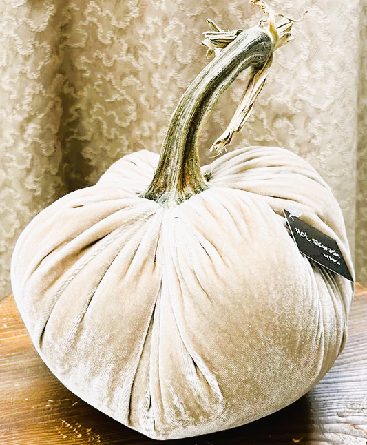 Hot Skwash 8" Silk Velvet Pumpkin- Bone