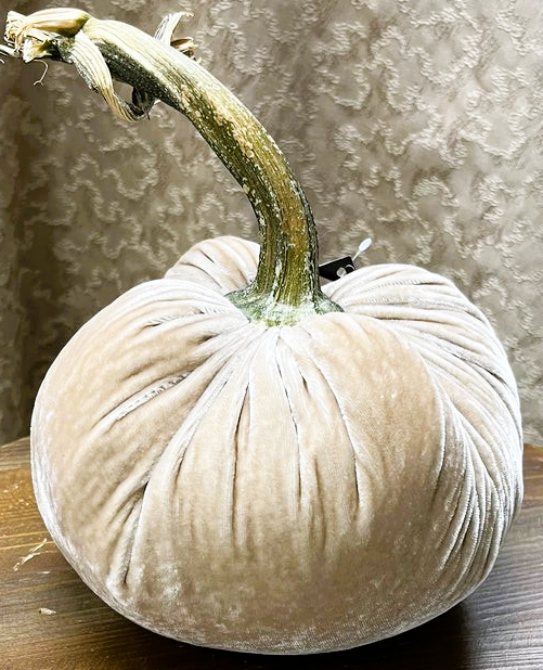 Hot Skwash 6" Silk Velvet Pumpkin- Bone