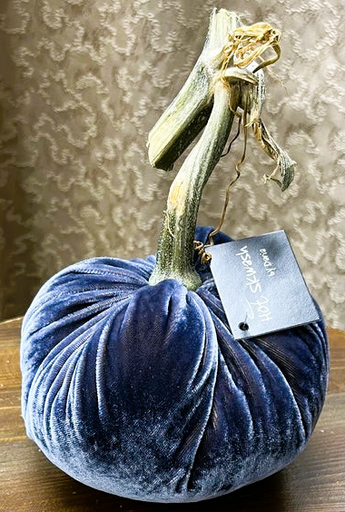 Hot Skwash 4" Silk Velvet Pumpkin-Lake