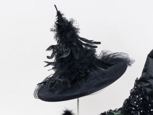 Black Feather Witch Hat-Feathers Galore