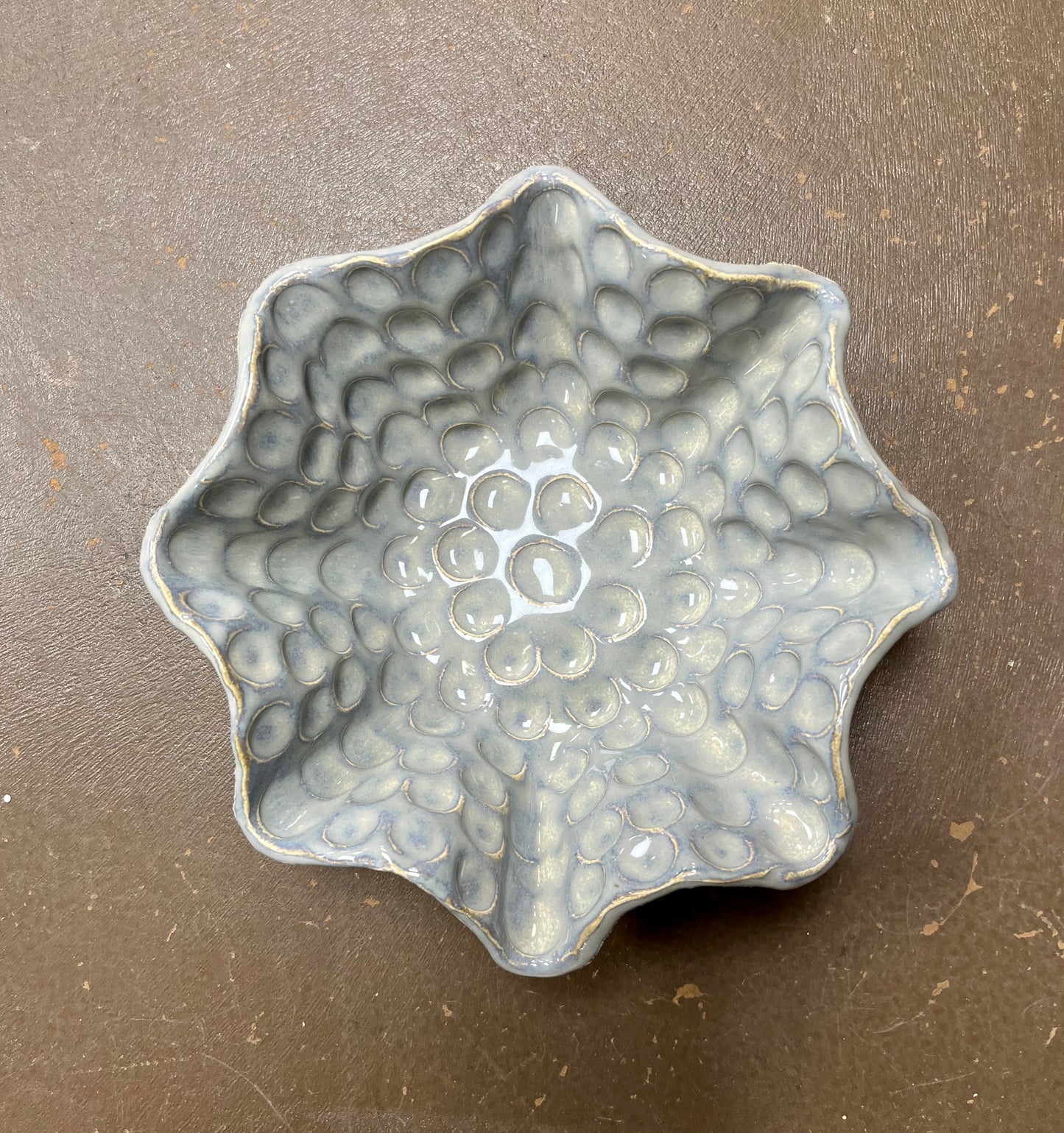 FP Star Bowl in Morning Mist