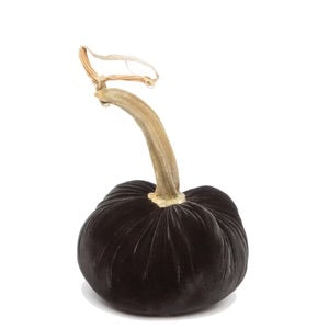 Hot Skwash 4" Silk Velvet Pumpkin- Ebony