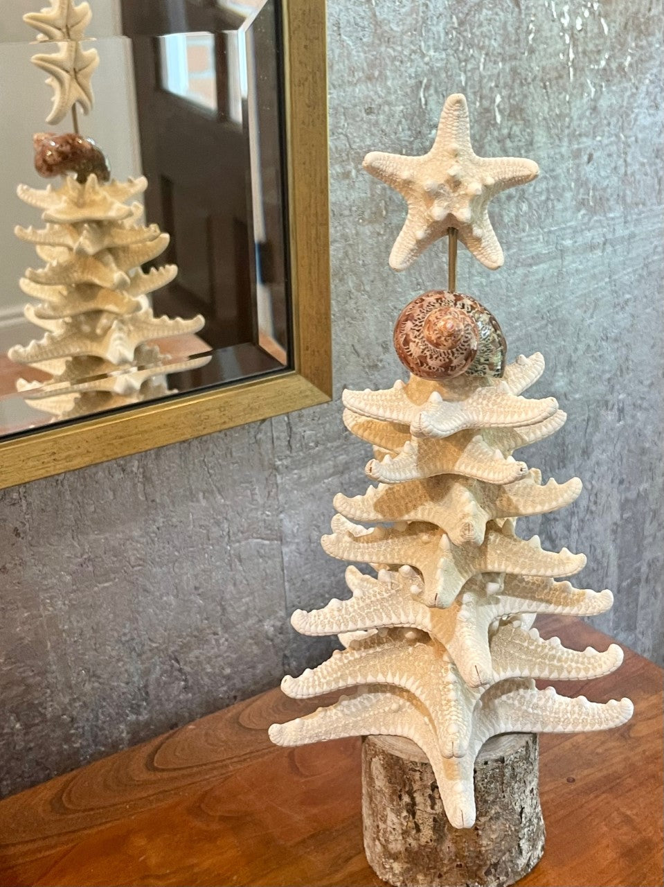 "The Timms" Starfish Tree