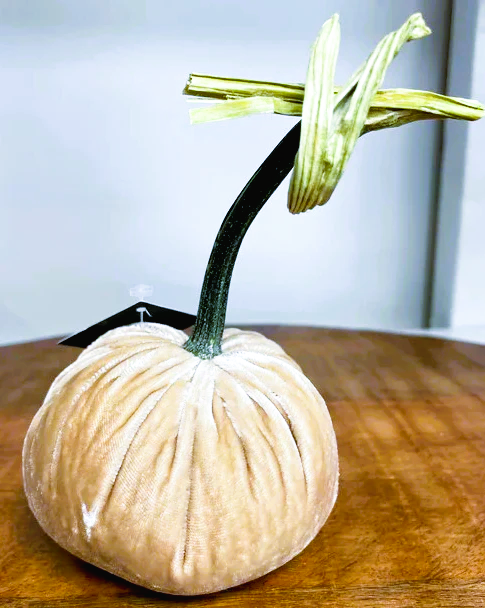 Hot Skwash 4" Silk Velvet Pumpkin - Bone