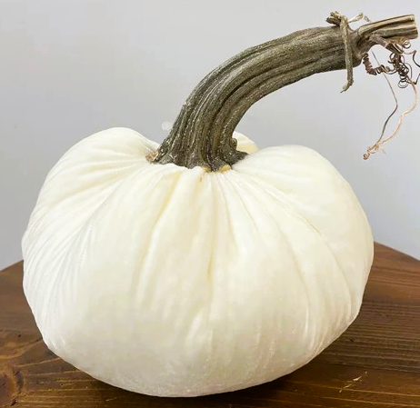 Hot Skwash 6" Silk Velvet Pumpkin- Ivory
