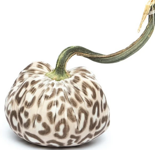Hot Skwash Jumbo 11" Silk Velvet Pumpkin- Snow Leopard