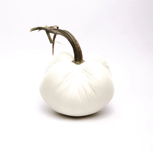 Hot Skwash 12" Jumbo Silk Velvet Pumpkin- Ivory