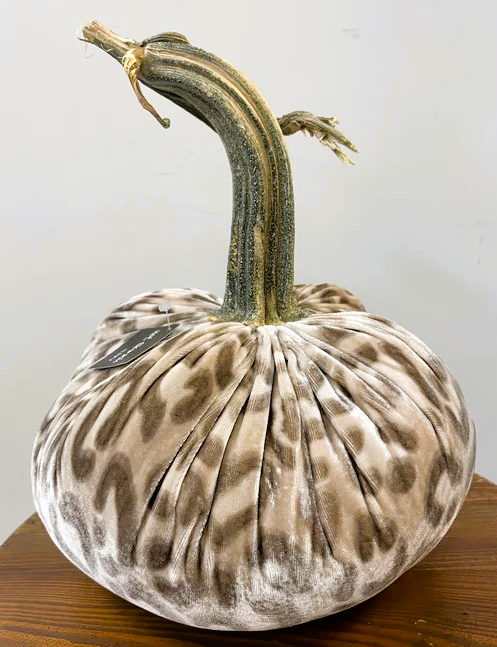 Hot Skwash 10" Silk Velvet Pumpkin- Snow Leopard