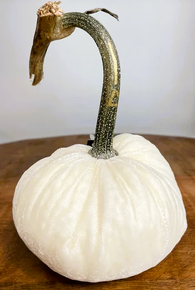 Hot Skwash 4" Silk Velvet Pumpkin-Ivory