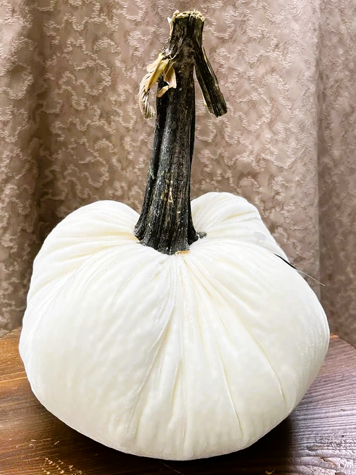 Hot Skwash 8" Silk Velvet Pumpkin- Ivory