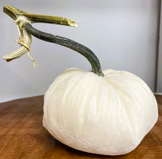 Hot Skwash 5" Silk Velvet Pumpkin- Ivory