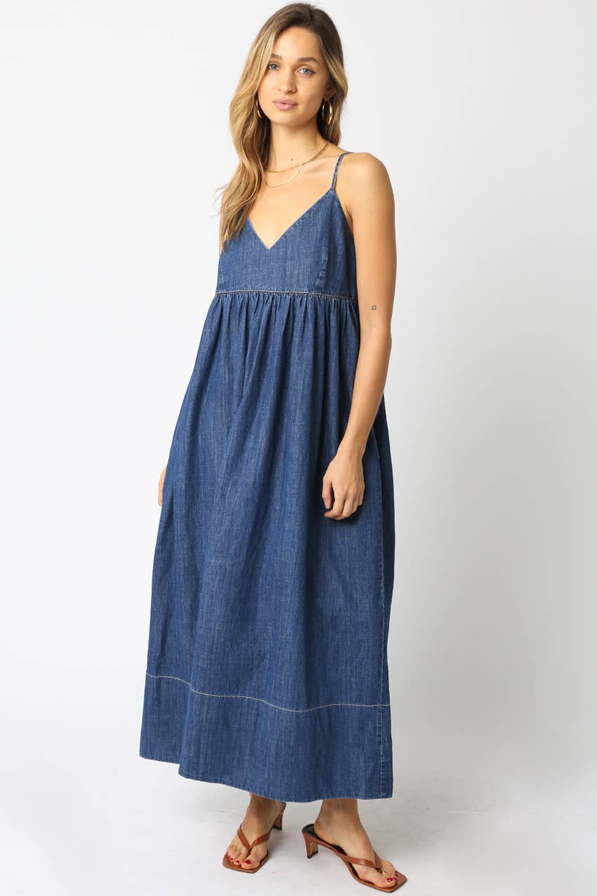 Nerida Denim Maxi Dress