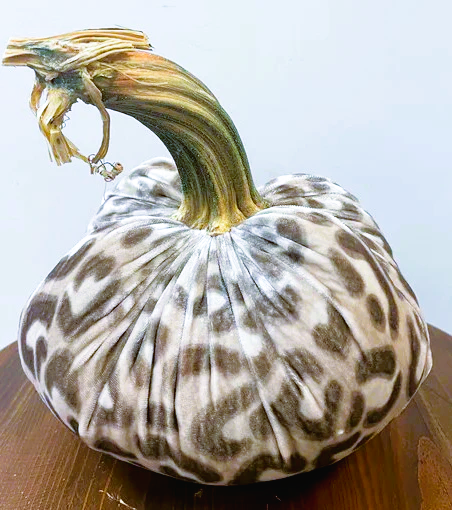 Hot Skwash 8" Silk Velvet Pumpkin- Snow Leopard