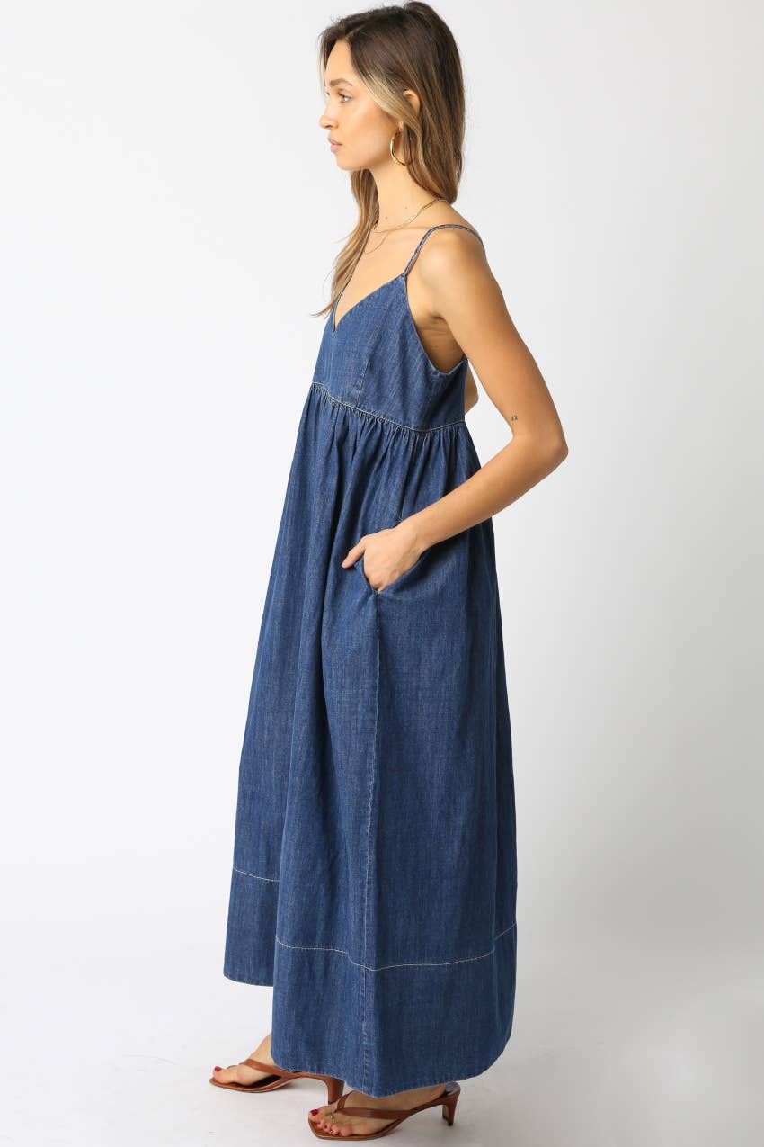 Nerida Denim Maxi Dress
