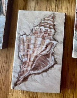 Custom Coastal Print Matchboxes- Crab, Conch, Clam, Crane, Pelican