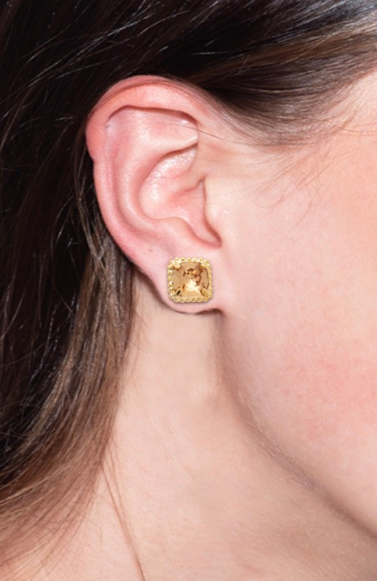 Izzy Decorated Stud Earrings-Light Colorado