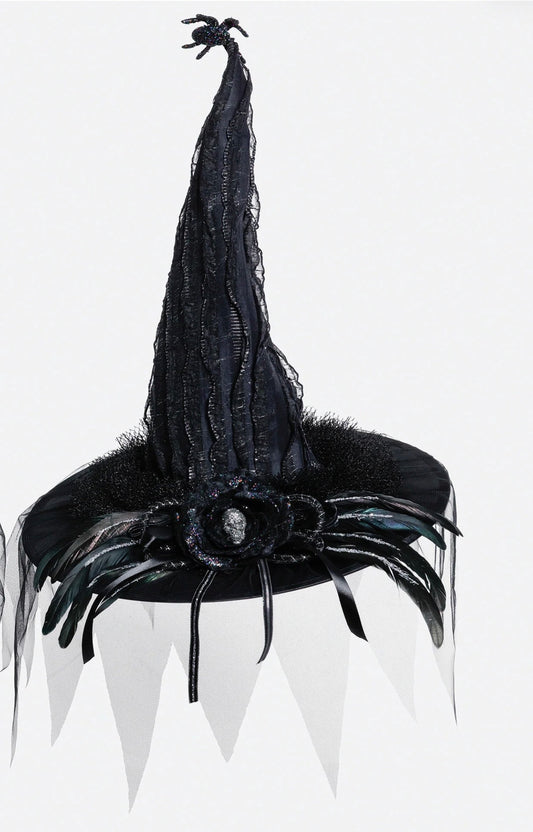 Raven’s Flight Witch Hat