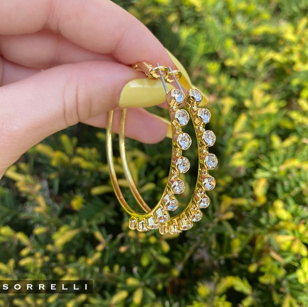Sorrelli Bessie Hoop Earrings - Crystal