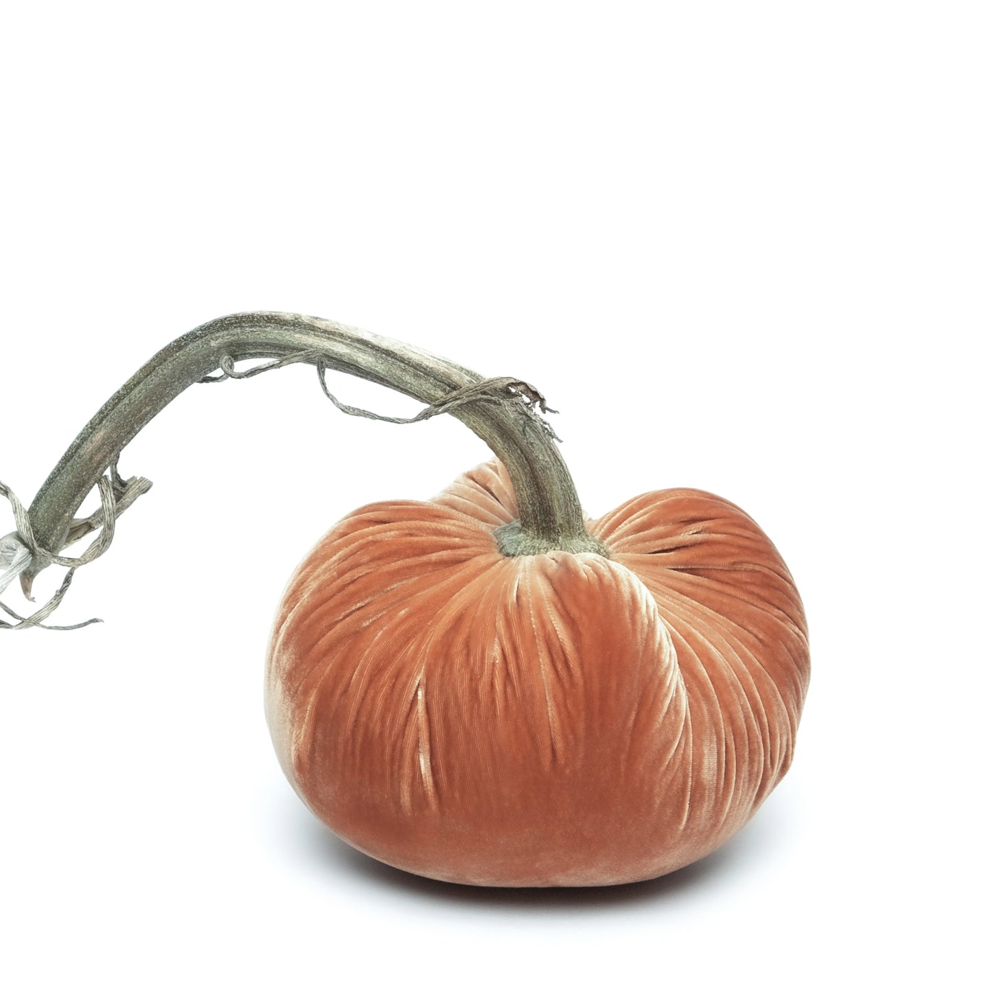 Hot Skwash 8" Jumbo Silk Velvet Pumpkin- Spice