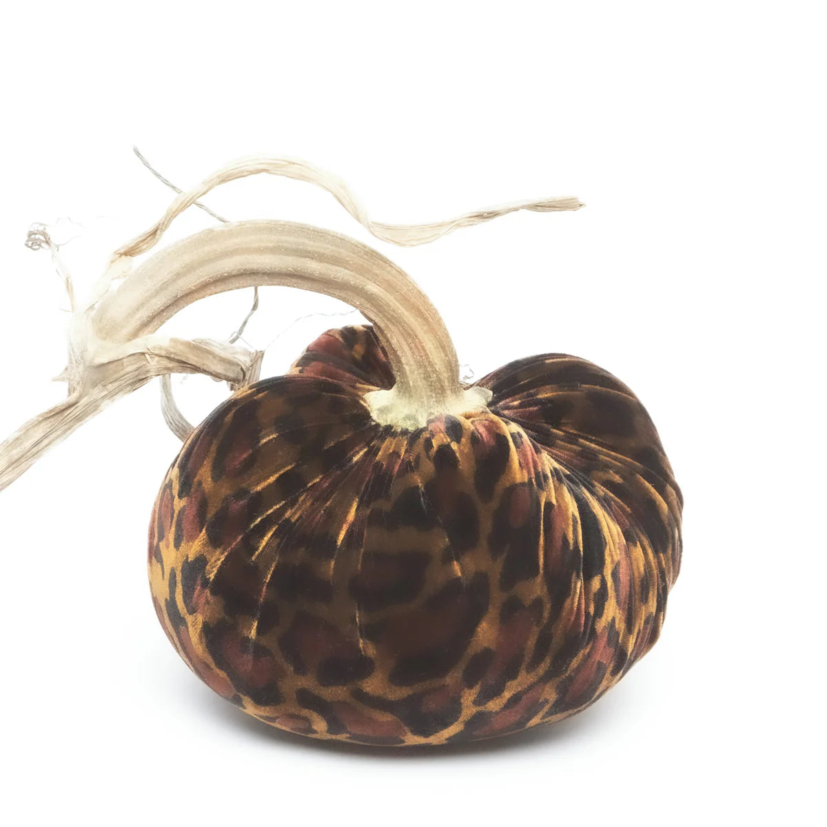 Hot Skwash 6" Jumbo Silk Velvet Pumpkin- Leopard