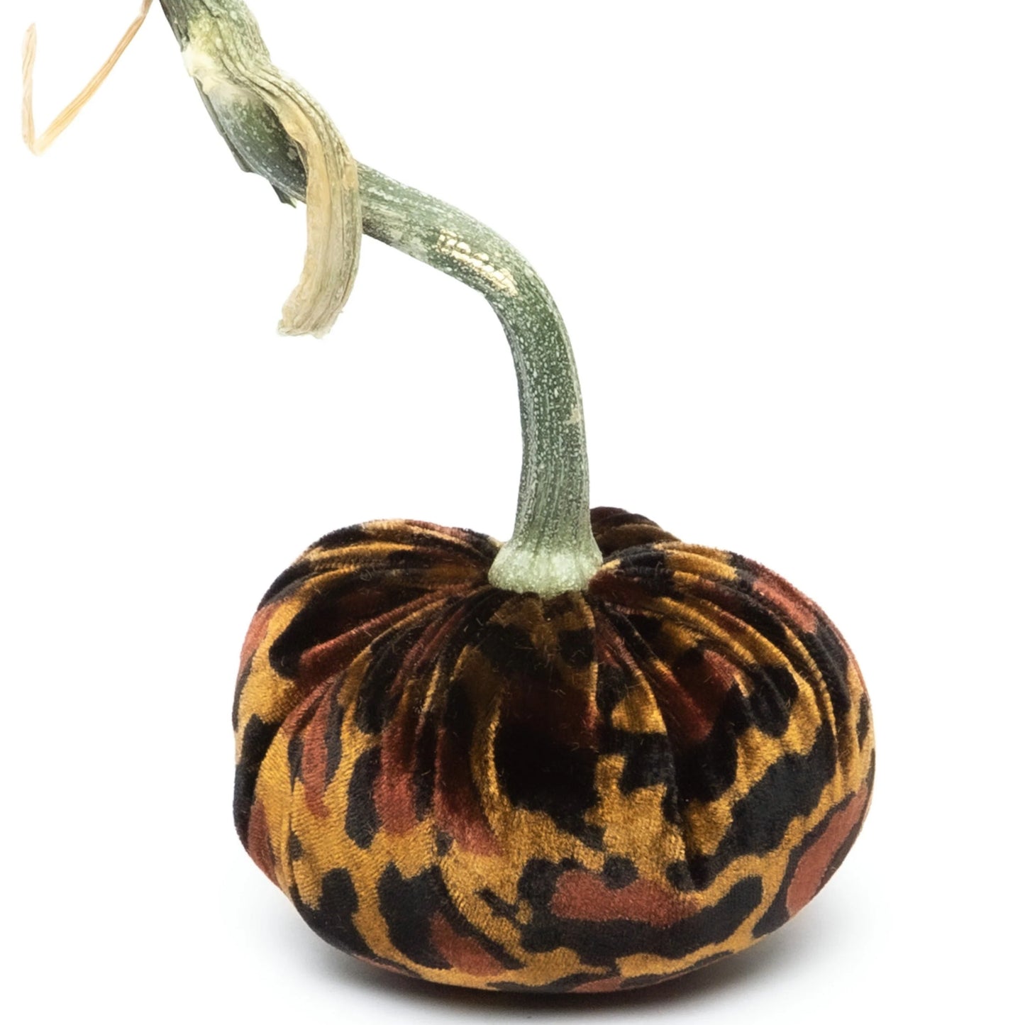 Hot Skwash 6" Jumbo Silk Velvet Pumpkin- Leopard
