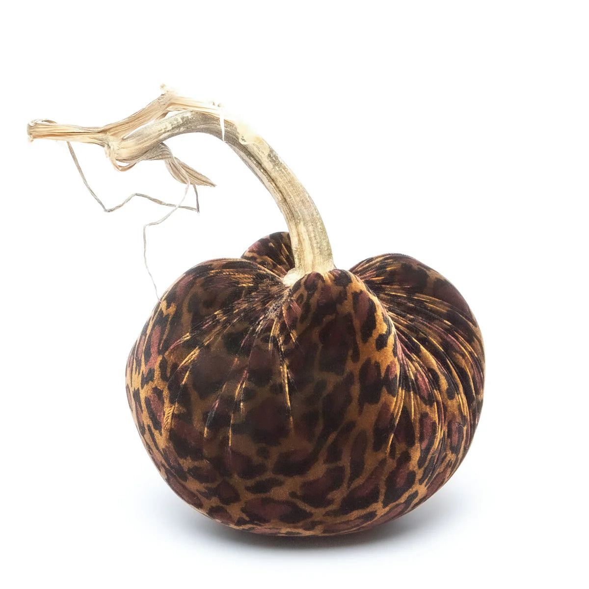 Hot Skwash 6" Jumbo Silk Velvet Pumpkin- Leopard