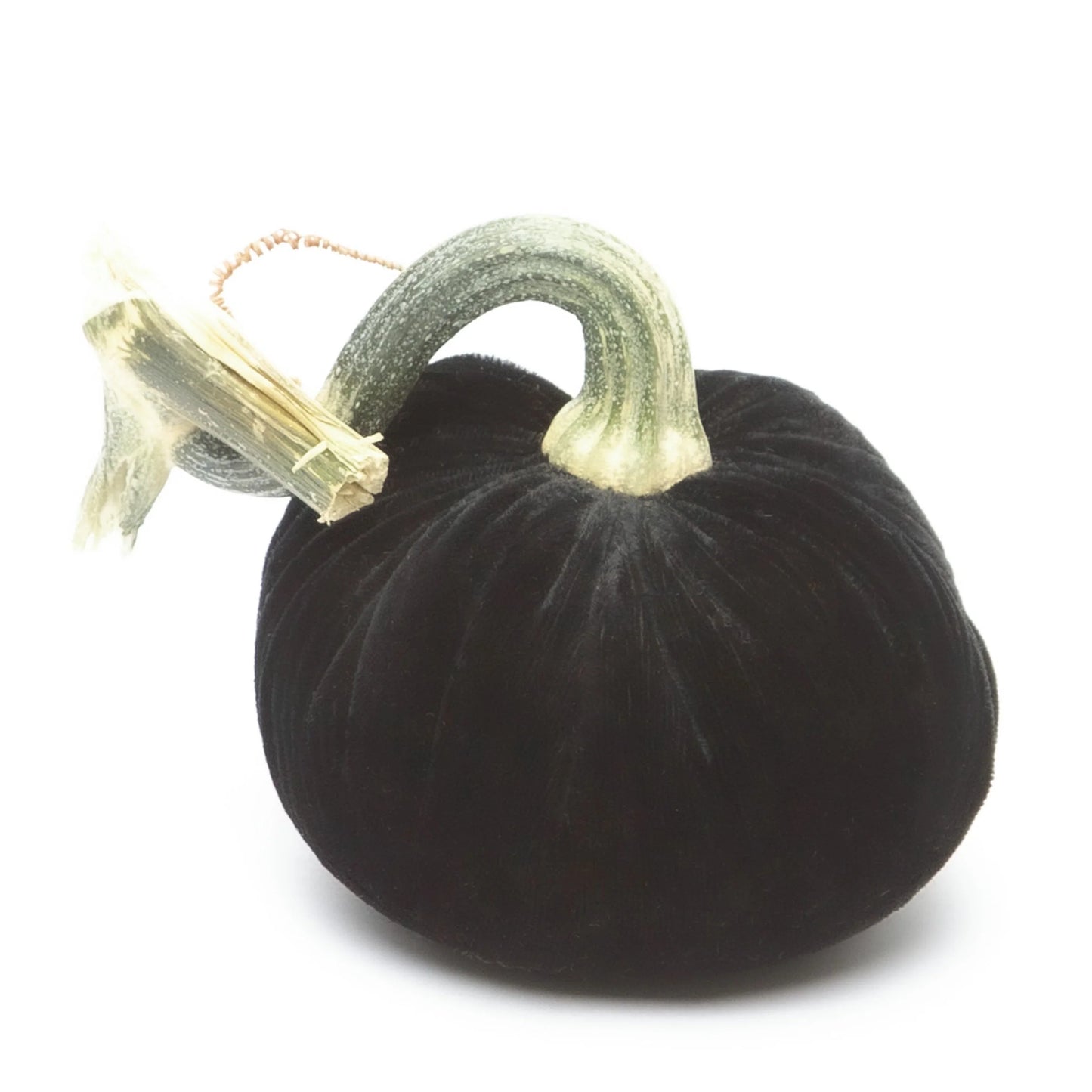 Hot Skwash 4" Silk Velvet Pumpkin- Ebony