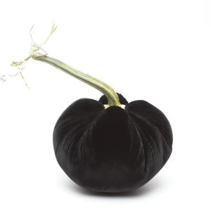 Hot Skwash 4" Silk Velvet Pumpkin- Ebony