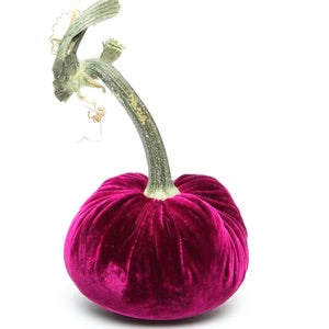 Hot Skwash 3" Silk Velvet Pumpkin- Magenta