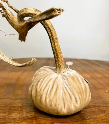Hot Skwash 3" Silk Velvet Pumpkin-Bone