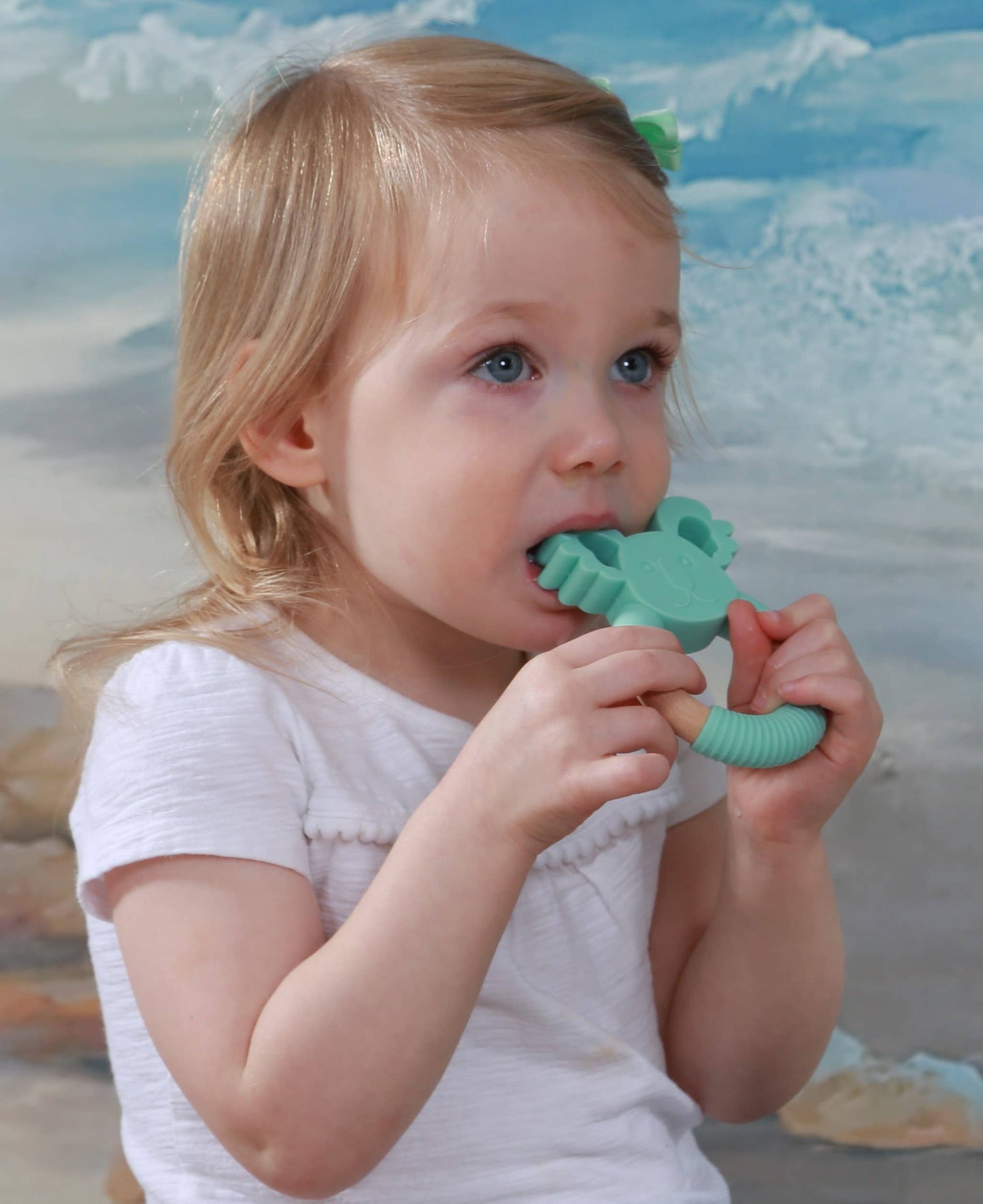 Bamboo & Silicone Teether Assortment