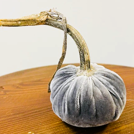 Hot Skwash 3" Silk Velvet Pumpkin- Grey
