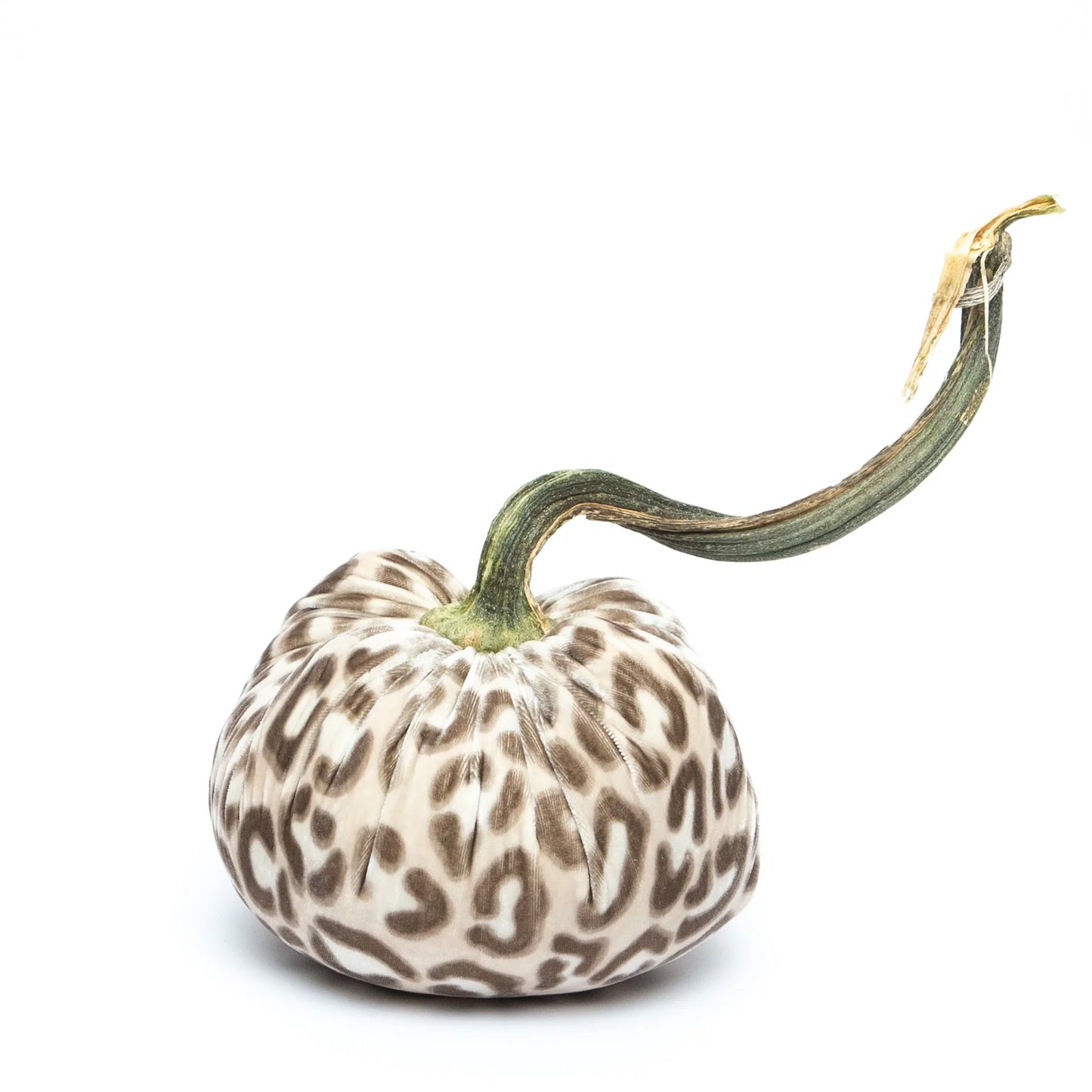 Hot Skwash 10" Silk Velvet Pumpkin- Snow Leopard