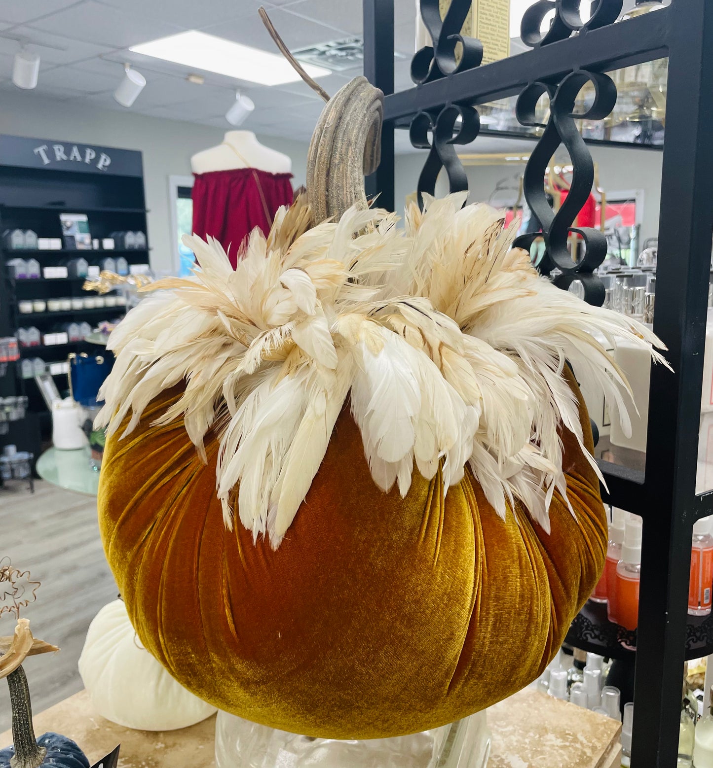 LE Pumpkin With Feather Collar