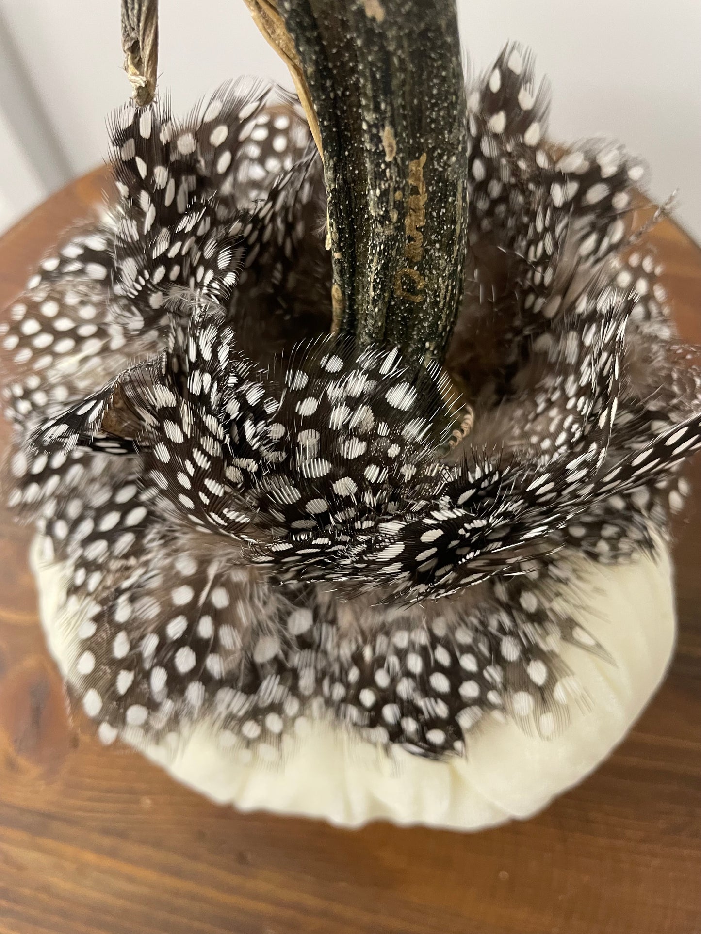 6 inch Pumpkins With Feather Collar