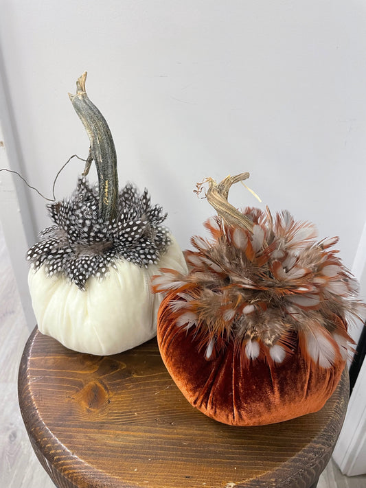 6 inch Pumpkins With Feather Collar