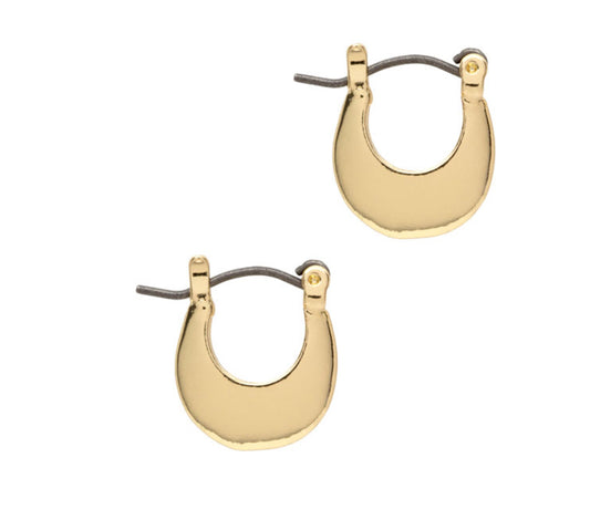 Mini Crescent Hoop Earrings In Gold & Silver