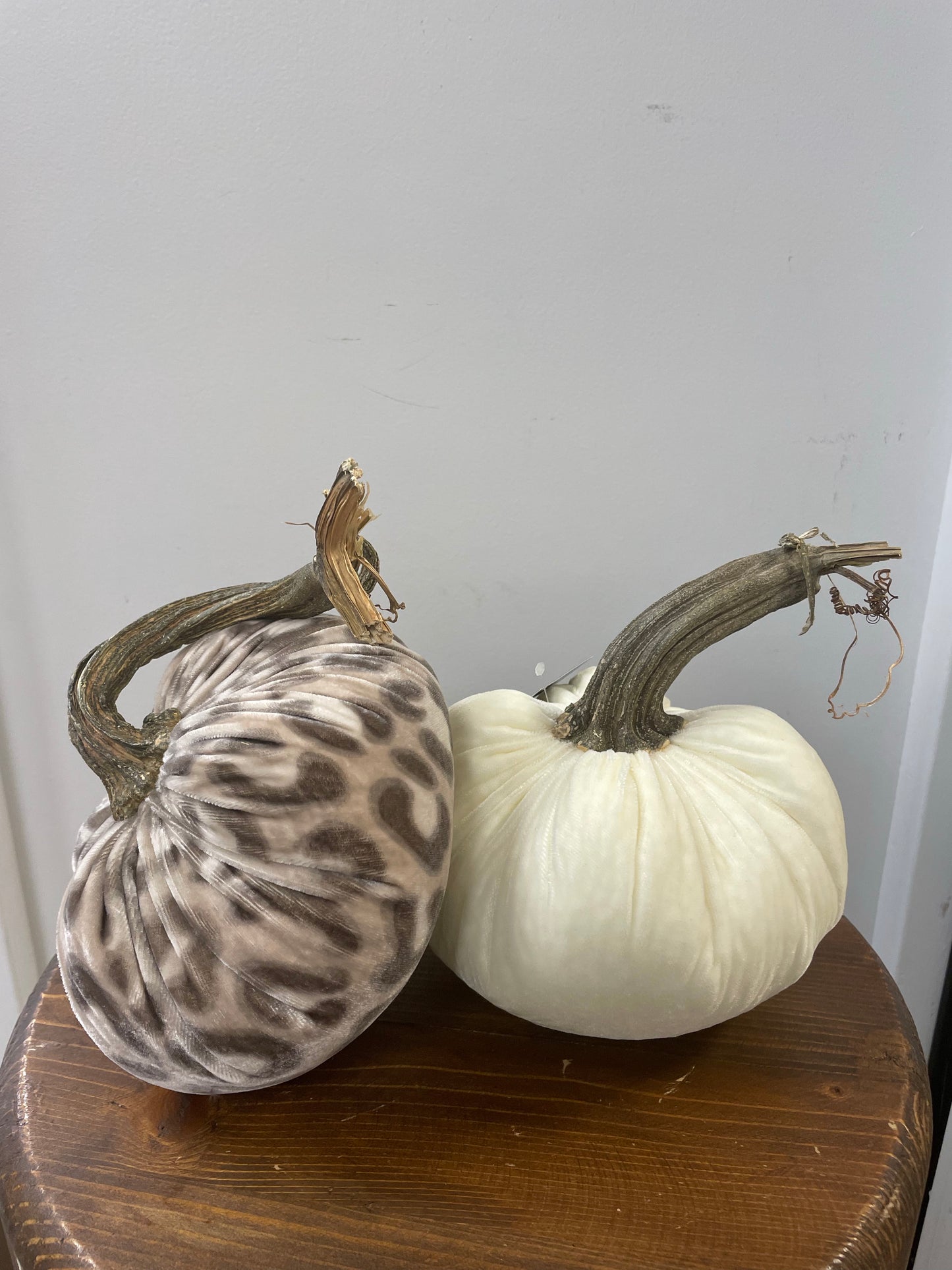 6 inch Pumpkins