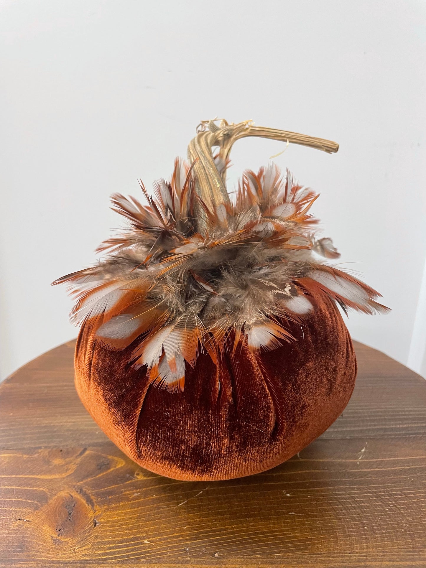 6 inch Pumpkins With Feather Collar